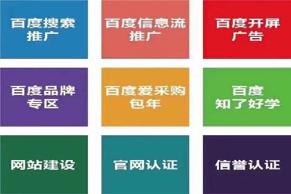 揭秘百度竞价代理：实战案例分析